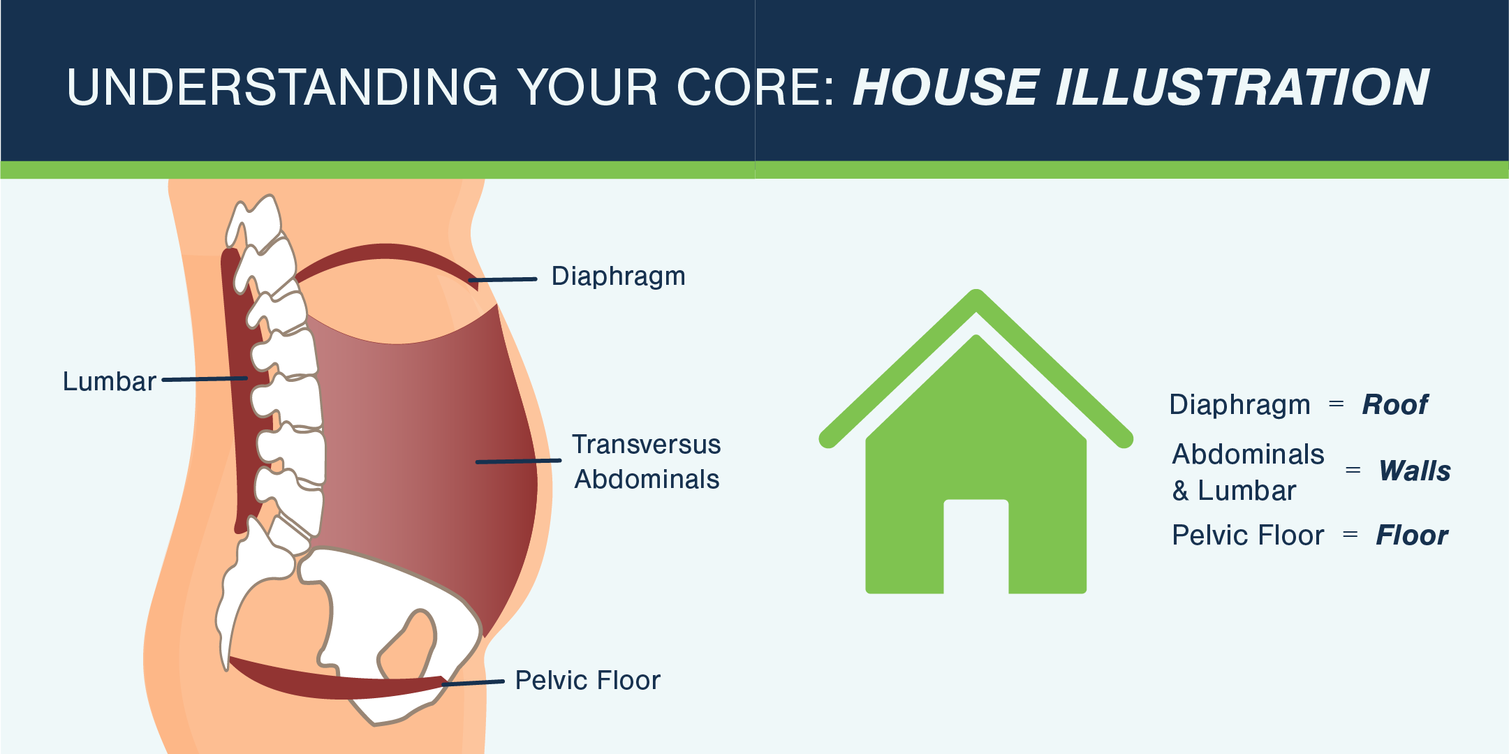 illustration of how your core muscles are similar to a home